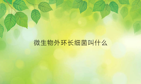 微生物外环长细菌叫什么(外界环境对微生物生长的影响)