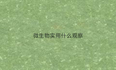微生物实用什么观察(微生物实用什么观察方法)