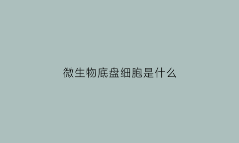 微生物底盘细胞是什么(微生物垫)