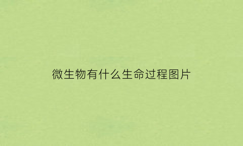 微生物有什么生命过程图片(微生物有什么生命过程图片)