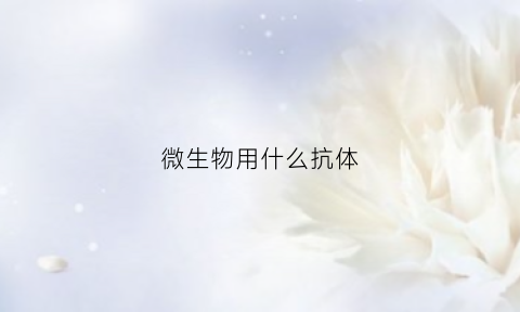 微生物用什么抗体(抗微生物类)