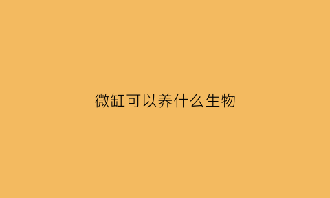 微缸可以养什么生物(适合微缸的鱼)
