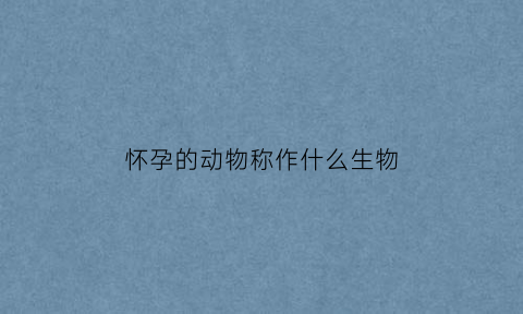 怀孕的动物称作什么生物(各种动物的怀孕期)