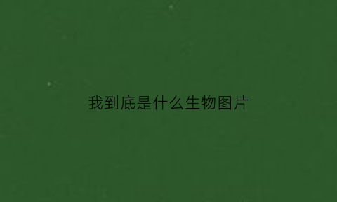 我到底是什么生物图片(我到底是什么命表情包)