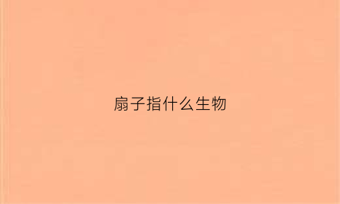 扇子指什么生物(我想知道扇子是什么)