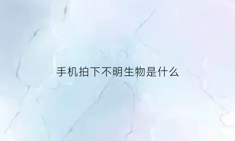 手机拍下不明生物是什么(手机拍照照片有不明物体)