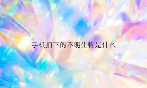 手机拍下的不明生物是什么(手机拍照照片有不明物体)