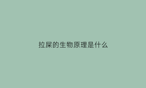 拉屎的生物原理是什么(拉屎用生物术语怎么说)