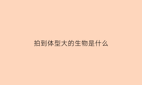拍到体型大的生物是什么(身体很大的动物)