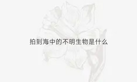 拍到海中的不明生物是什么(海边发现的不明海洋生物)