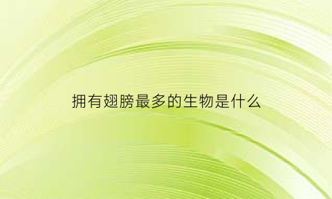 拥有翅膀最多的生物是什么(拥有翅膀的人类)