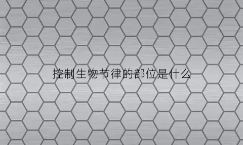 控制生物节律的部位是什么(调控生物节律)