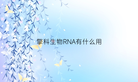 擎科生物RNA有什么用