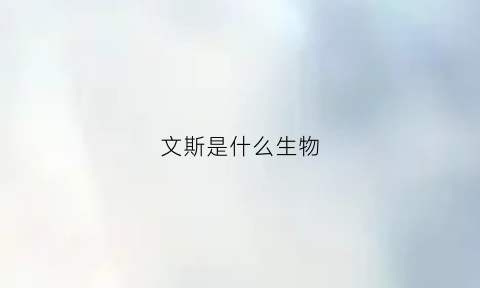 文斯是什么生物(文斯是什么牌子)