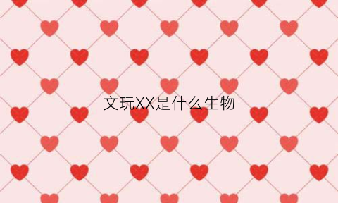 文玩XX是什么生物(文玩是什么意思)