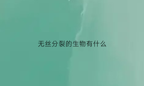无丝分裂的生物有什么
