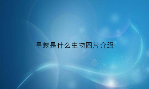旱魃是什么生物图片介绍(旱魃到底是什么啊)