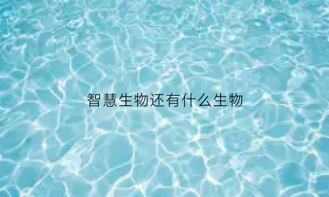智慧生物还有什么生物(智慧生物有哪些)