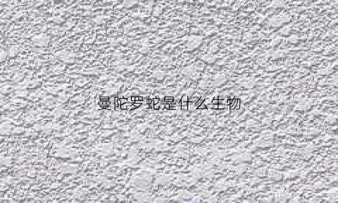 曼陀罗蛇是什么生物(曼陀罗蛇的毒性强吗)