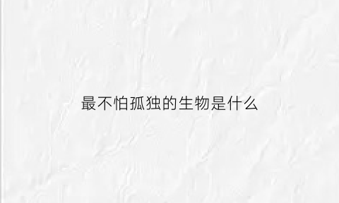 最不怕孤独的生物是什么(世界上最不怕孤独)