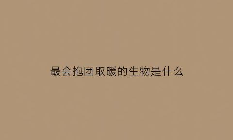 最会抱团取暖的生物是什么(报团取暖的动物)