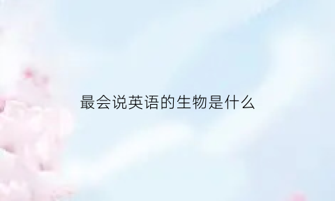 最会说英语的生物是什么