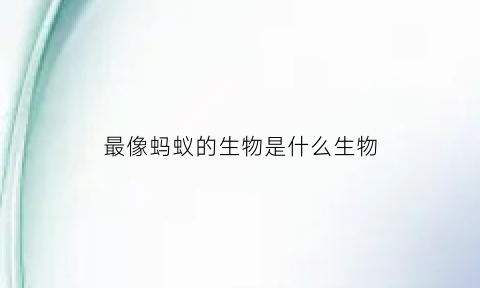 最像蚂蚁的生物是什么生物(像蚂蚁这样的动物叫做什么)