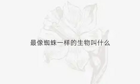 最像蜘蛛一样的生物叫什么(一种很像蜘蛛的动物)