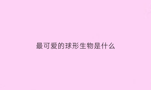 最可爱的球形生物是什么(可爱的圆球)