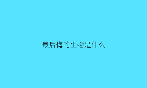 最后悔的生物是什么(人类最后悔的10件事)