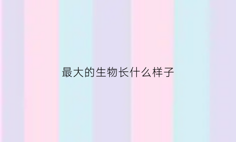 最大的生物长什么样子(最大的生物有多大)