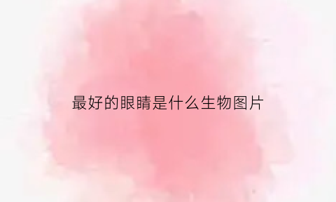 最好的眼睛是什么生物图片(眼睛最好的是什么动物)