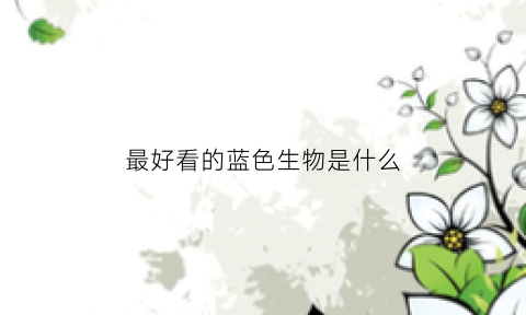 最好看的蓝色生物是什么(好看的蓝色种类)