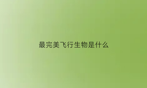 最完美飞行生物是什么(最完美飞行生物是什么动物)