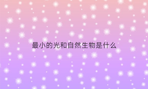 最小的光和自然生物是什么(地球上最小的光和自由生物)