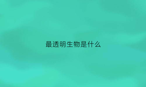 最透明生物是什么(世界上最透明的生物是什么)