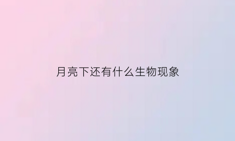 月亮下还有什么生物现象(月亮下都有什么)
