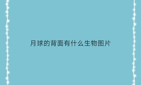月球的背面有什么生物图片(月球背面的主要特征是什么)