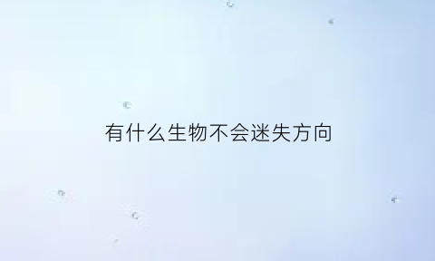 有什么生物不会迷失方向(什么动物会迷失方向永远找不到路)