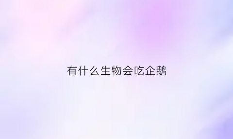 有什么生物会吃企鹅(什么东西吃企鹅)