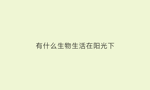 有什么生物生活在阳光下