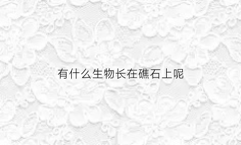 有什么生物长在礁石上呢(海里礁石生长的动物)