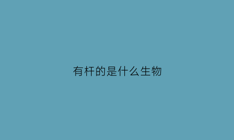 有杆的是什么生物(有杆是什么意思)