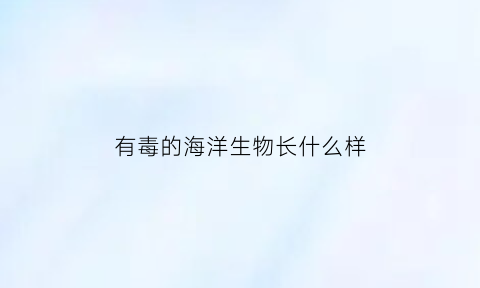 有毒的海洋生物长什么样(有毒的海洋生物长什么样子)