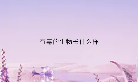 有毒的生物长什么样(有毒的生物长什么样子图片)