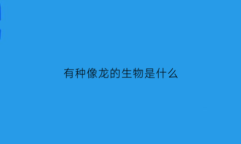 有种像龙的生物是什么(有种像龙的生物是什么生物)