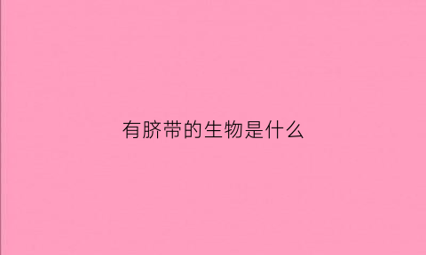 有脐带的生物是什么(脐带有人吃吗)