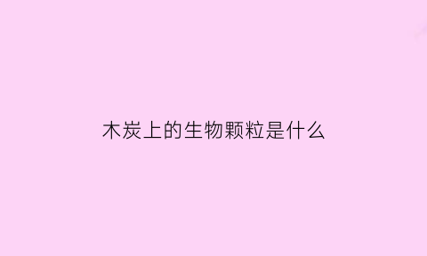 木炭上的生物颗粒是什么(木炭本身有毒吗)