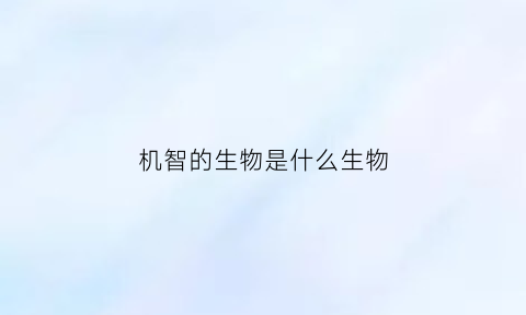 机智的生物是什么生物(机智的动物是什么动物)