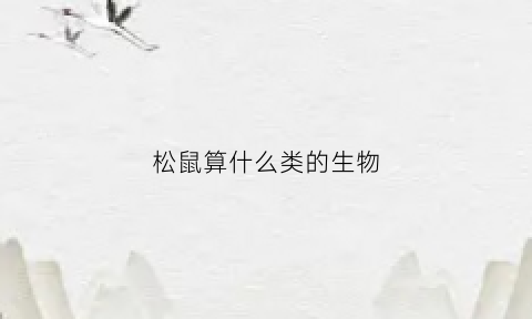 松鼠算什么类的生物(松鼠算什么类的生物类型)